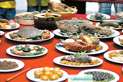 年關(guān)將至 牙疾者的危機(jī)時(shí)刻來了